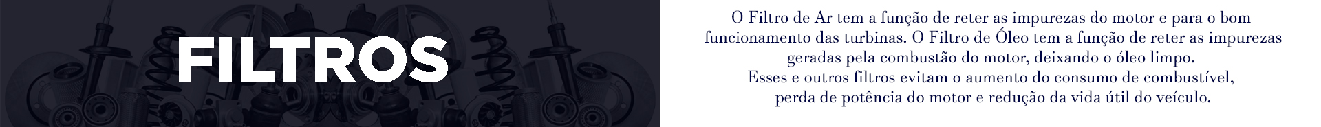 O Filtro de Ar tem a função de reter as impurezas do motor e para o bom funcionamento das turbinas. O Filtro de óleo tem a função de reter as impurezas geradas pela combustão do motor, deixando o óleo limpo. O Filtro de Combustível é responsável por reter as impurezas acumuladas no tanque do veículo, evitando que chegue à Bomba de Combustível e Bicos Injetores. Esses e outros filtros evitam o aumento do consumo de combustível, perda de potência do motor e redução da vida útil do veículo.