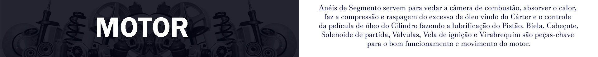 Anéis de Segmento servem para vedar a câmera de combustão, absorver o calor, faz a compressão e raspagem do excesso de óleo vindo do Cárter e o controle da película de óleo do Cilindro fazendo a lubrificação do Pistão. Biela, Cabeçote, Solenoide de partida, Válvulas, Vela de Ignição e Virabrequim são peças-chave para o funcionamento e movimento do motor. 